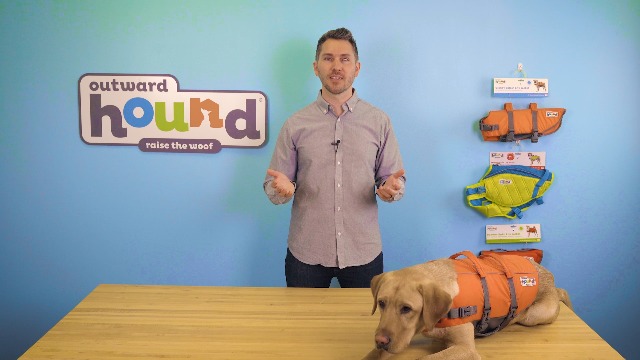 Amazon.com : Outward Hound Granby Splash Orange Dog Life Jacket